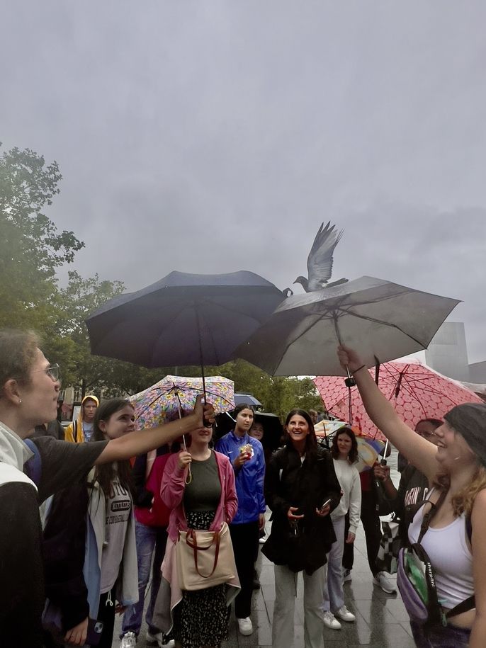 Students passing the pigeon to new umbrellas in the rain