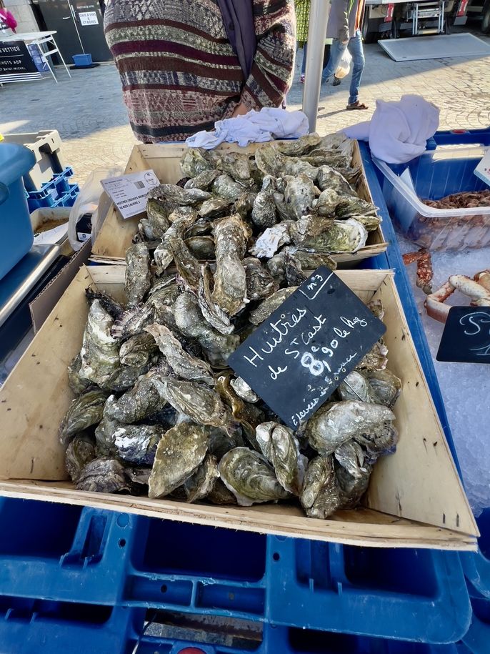 Fresh raw oysters