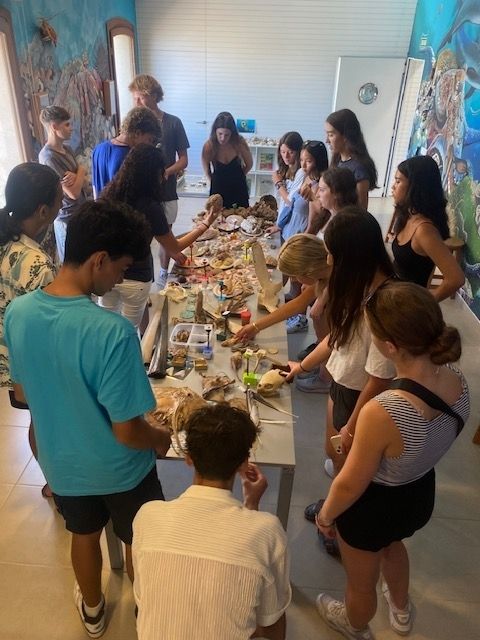 a photo of the students touching different shells 