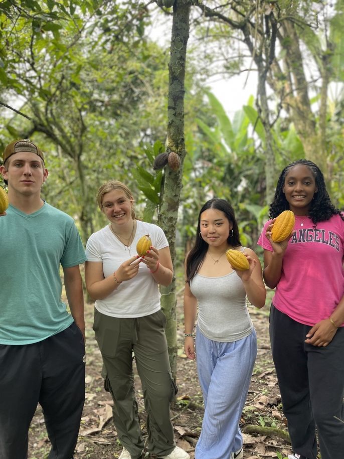 cocoa farmers