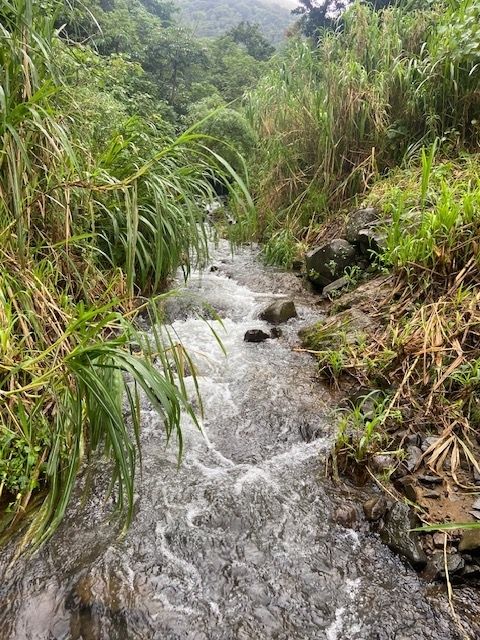 The local river. 