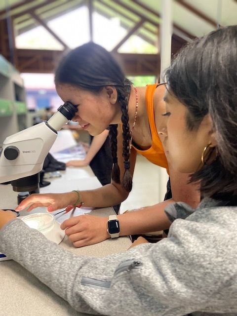 Deciding what species each of the specimens are. 