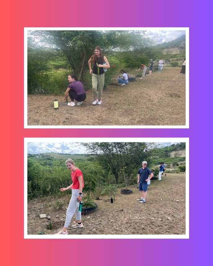 Students planting dragonfruit. 