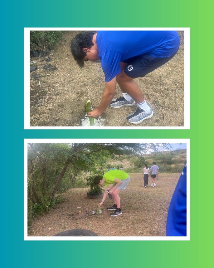 Students planting dragonfruit. 