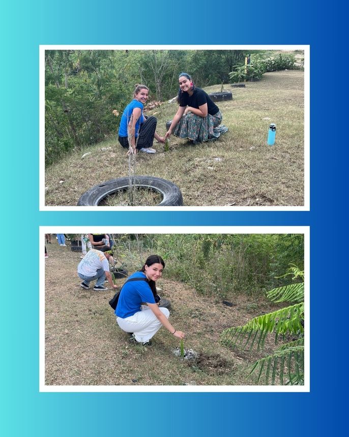 Students planting dragonfruit. 