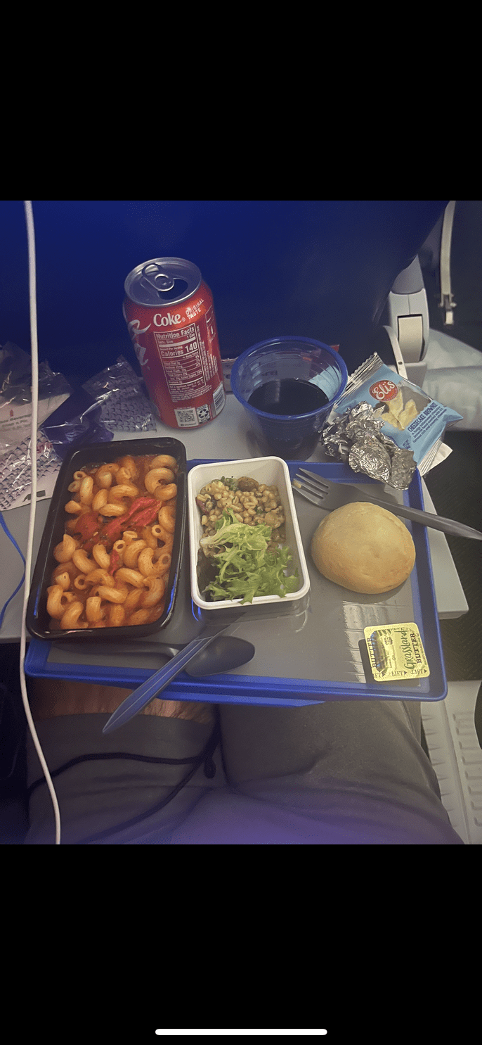 Plane food