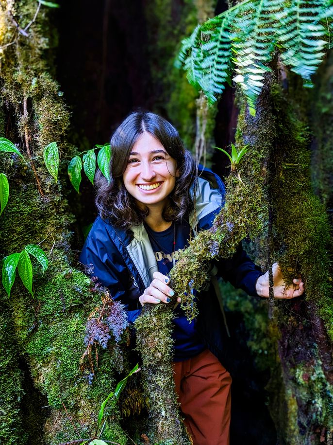 monteverde girls posing in trees during rain forest hike