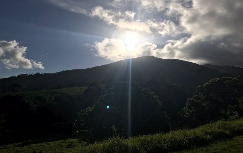 Photo for blog post Indigenous Connection to Land: The Gulaga Experience