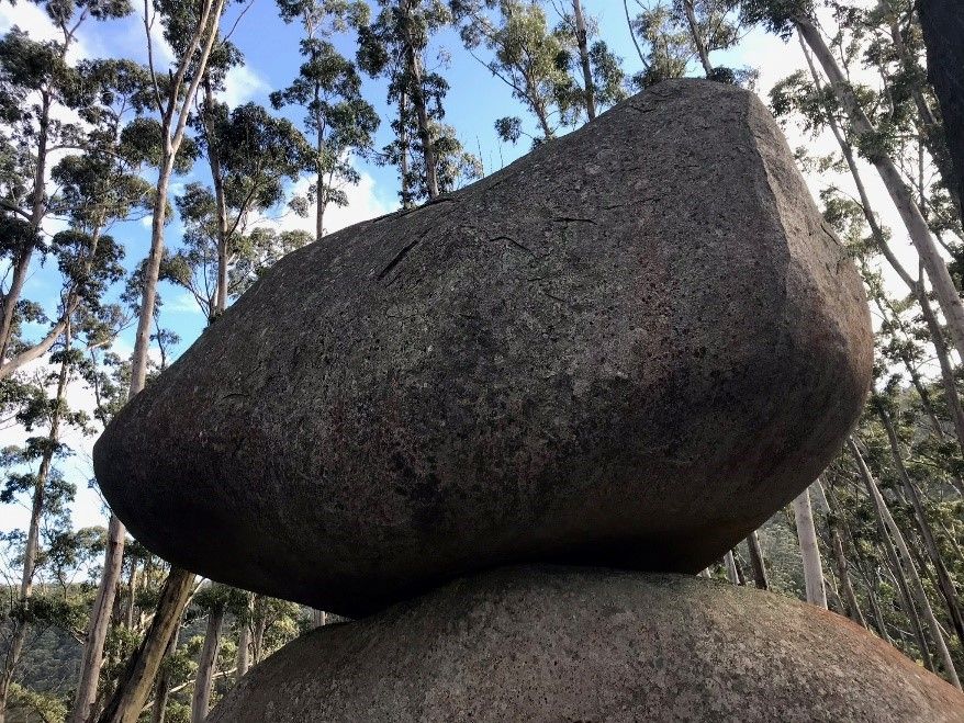 Photo for blog post Indigenous Connection to Land: The Gulaga Experience