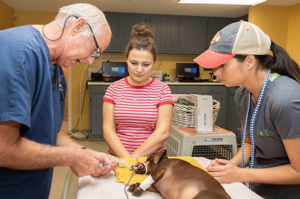 Photo for blog post Community Job Shadowing Program Opens Doors for Work & Travel USA Participants