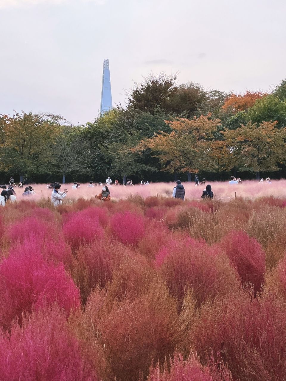 Photo for blog post  가을~ Peaceful Autumn Vibes in Seoul 