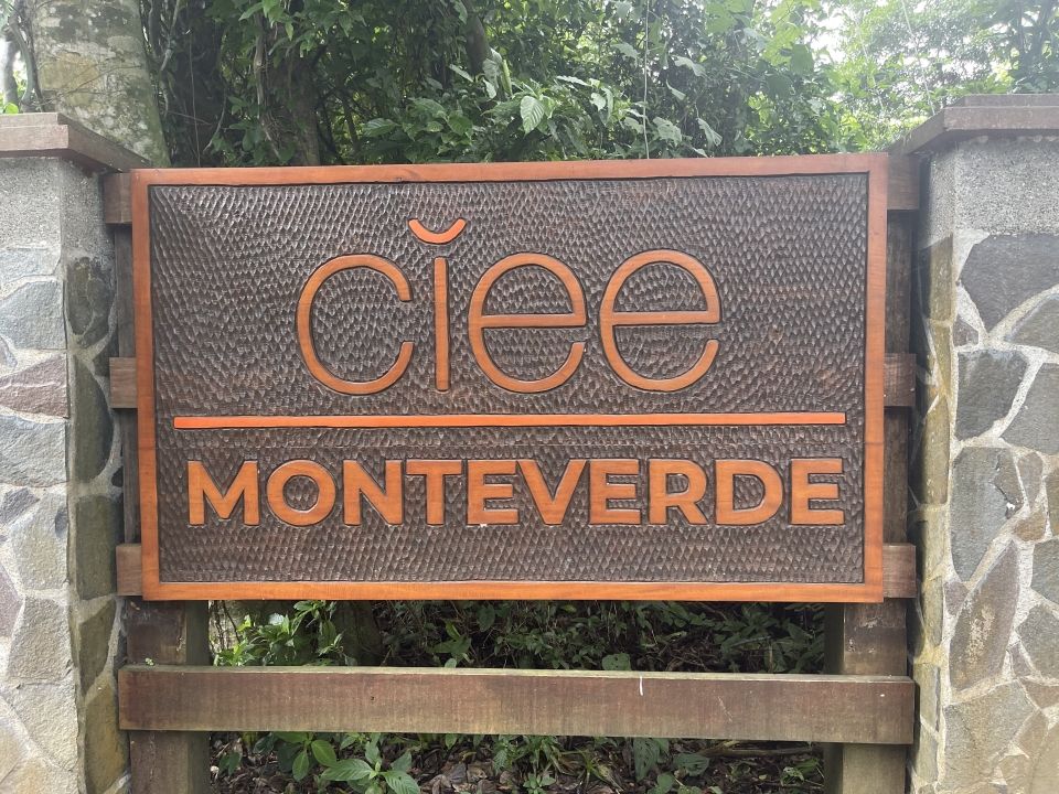 Photo for blog post Welcome to Monteverde!