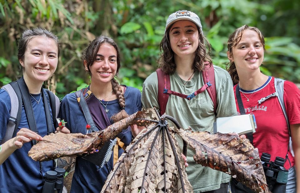 monteverde study abroad environmental students