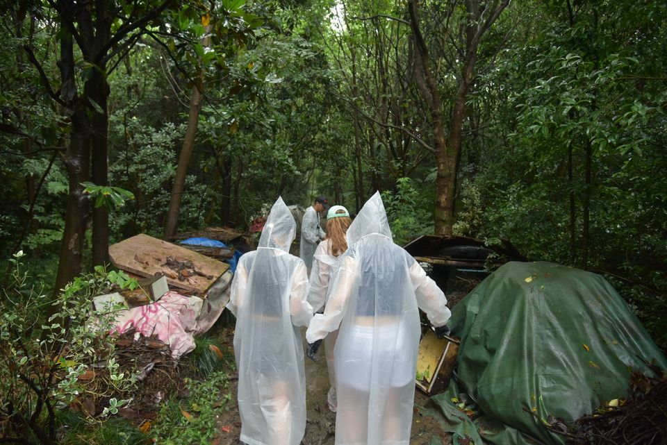 Students strolling through the forest and collecting trash.