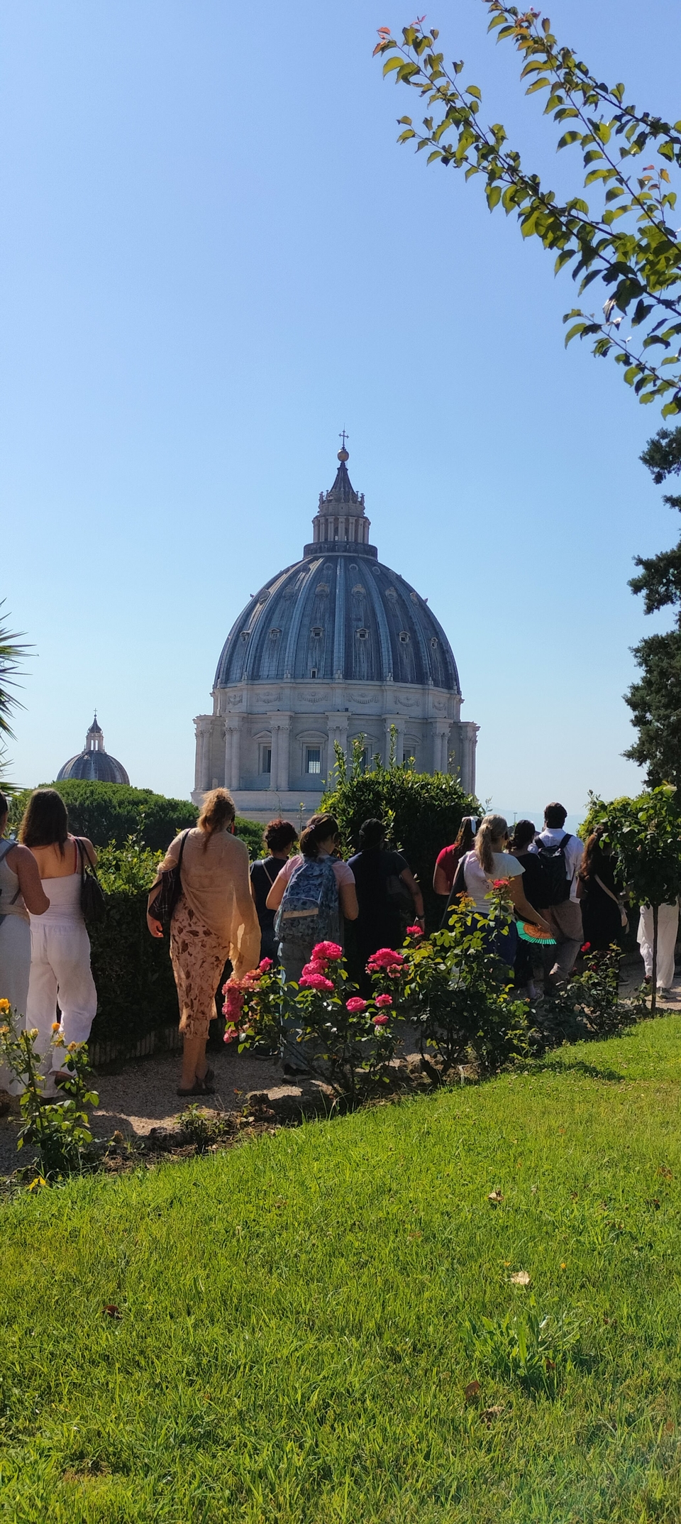 Vatican gardens