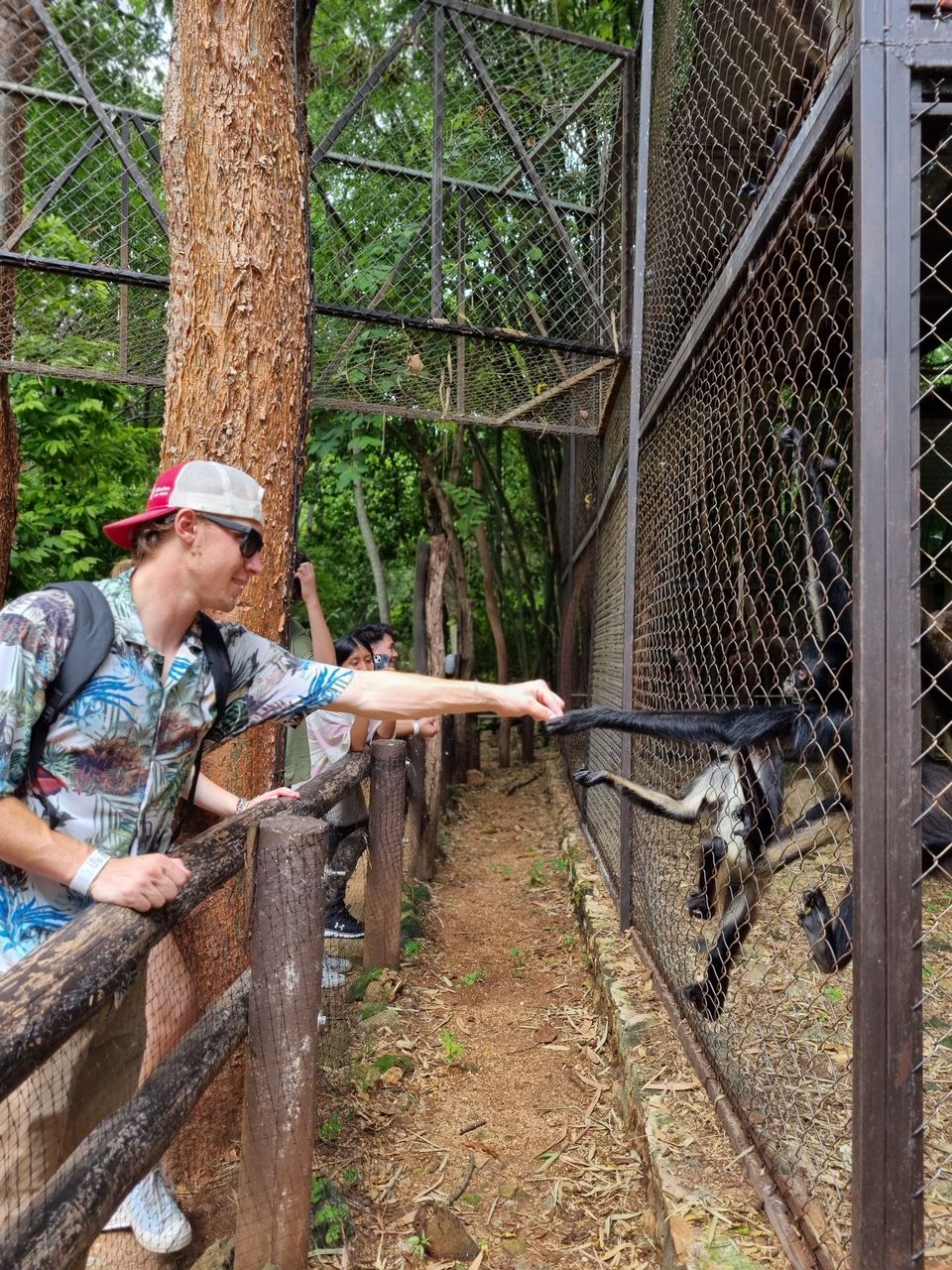 Student feeding monkeys at ChocoStory