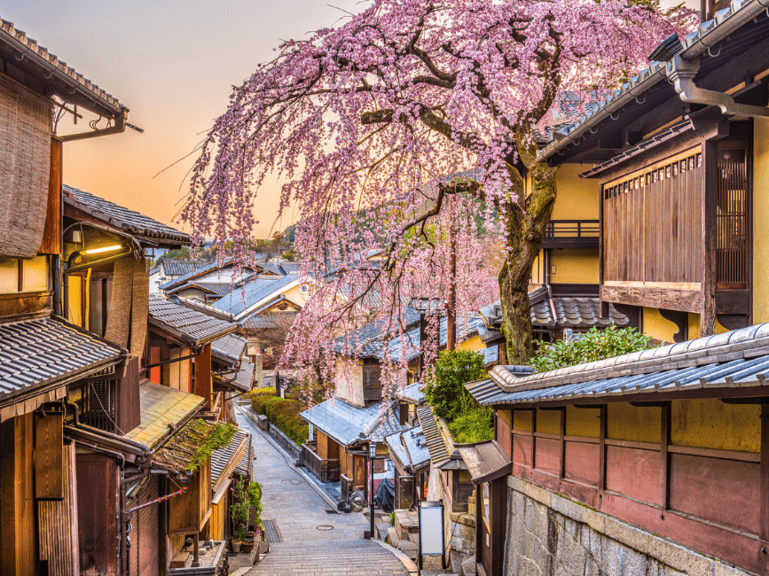 Kyoto alley with tree