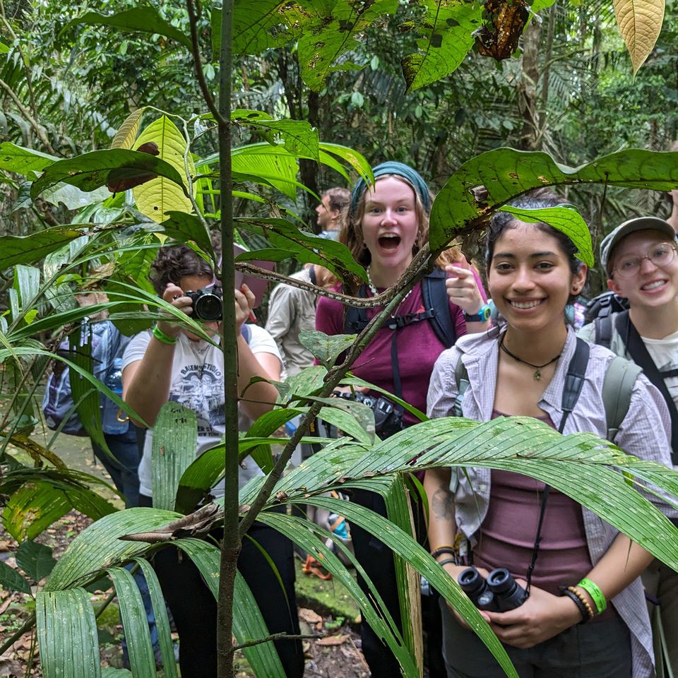 monteverde students forest exploration