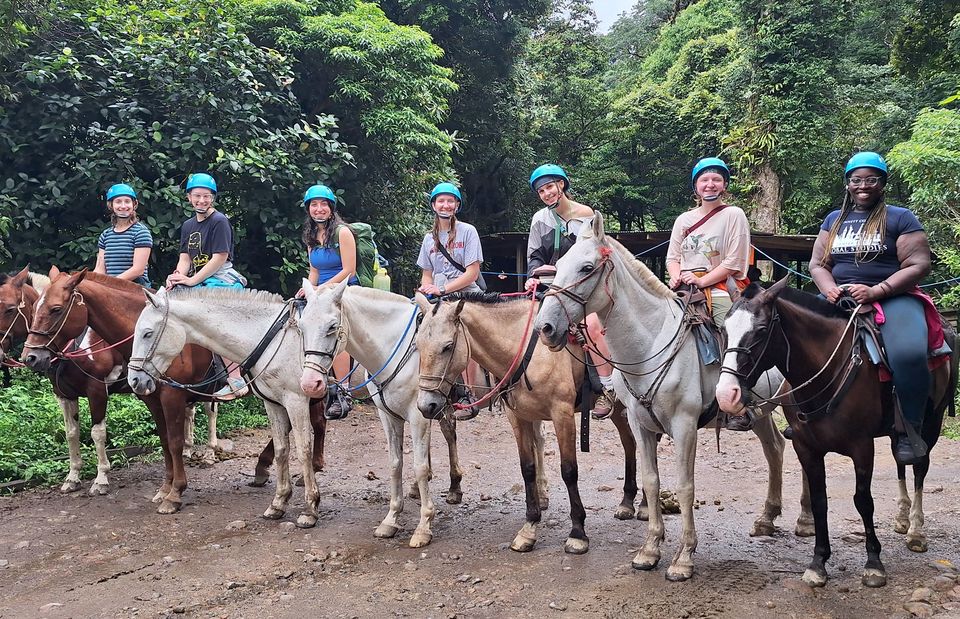 horses abroad costa rica